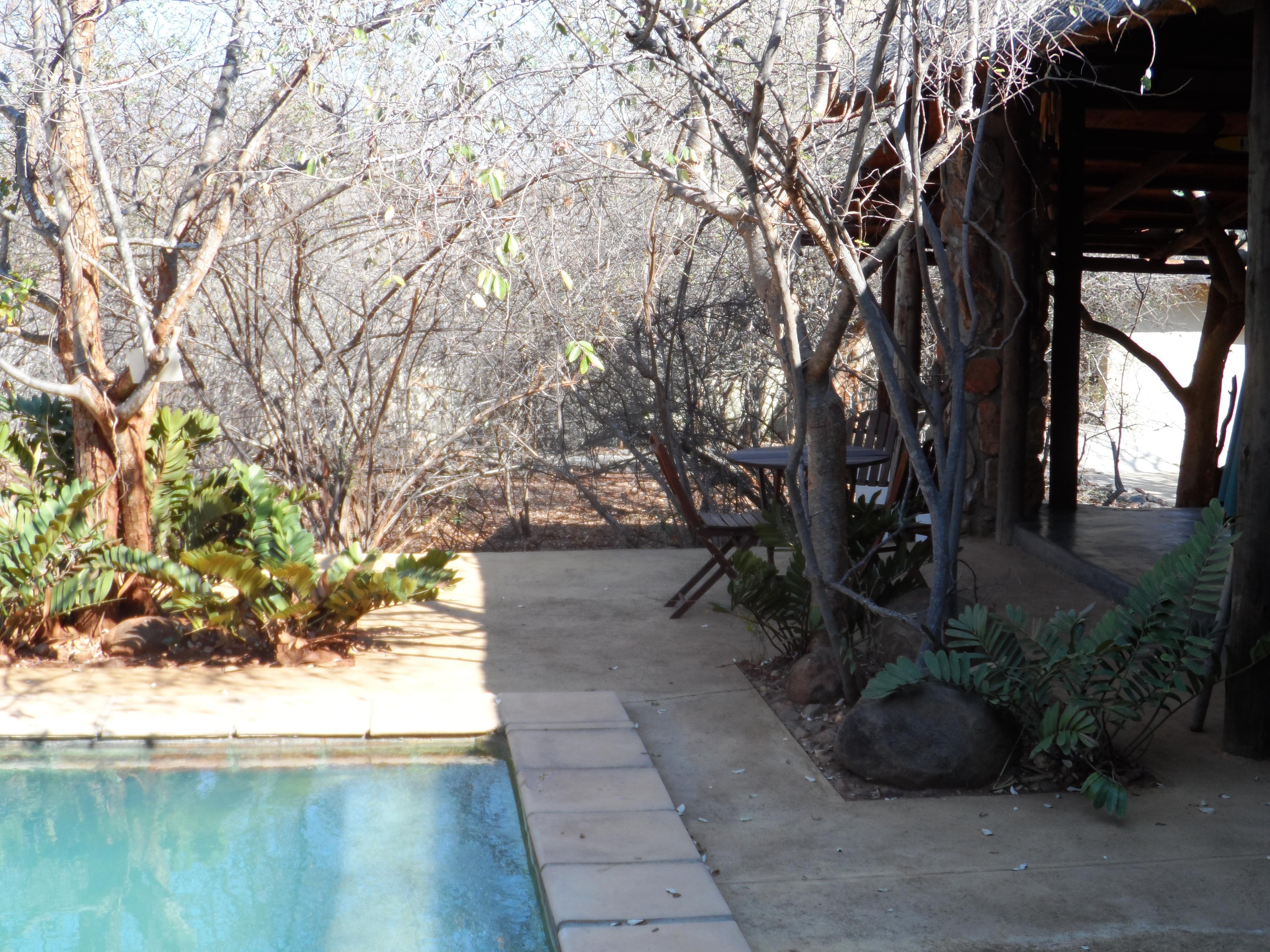 Shikwari Nature Reserve Hoedspruit Buitenkant foto