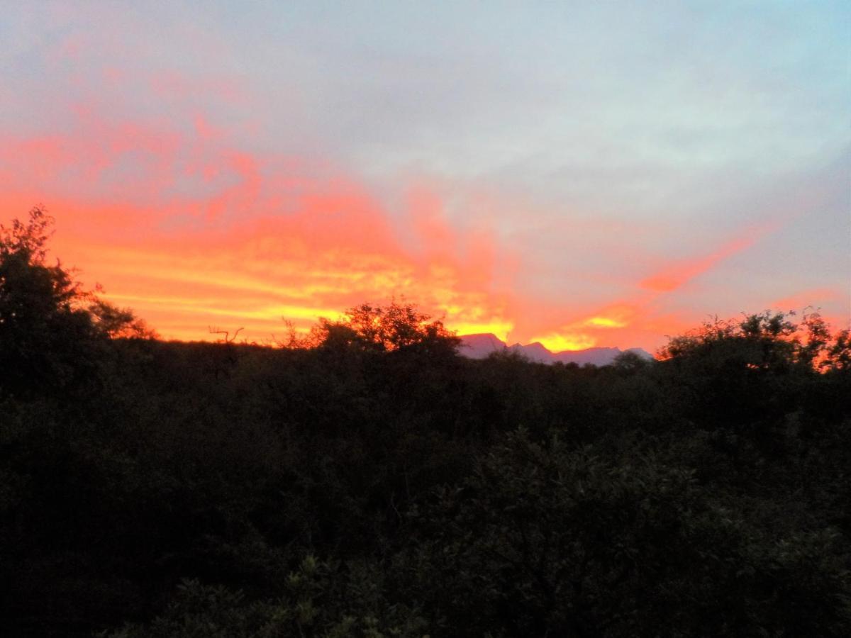 Shikwari Nature Reserve Hoedspruit Buitenkant foto