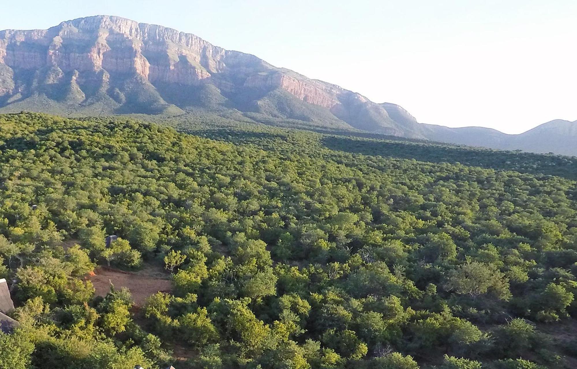 Shikwari Nature Reserve Hoedspruit Buitenkant foto